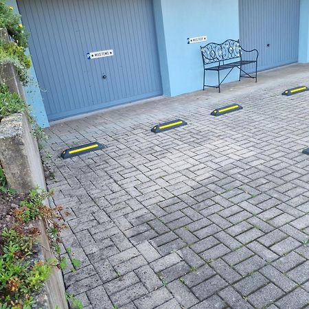 Miu'S Ferienwohnung Alpirsbach Kültér fotó