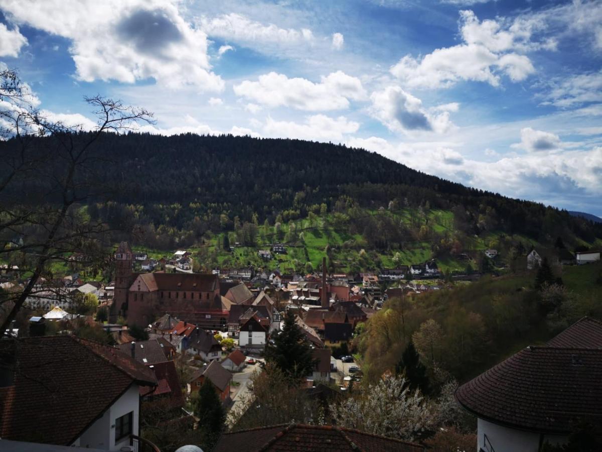 Miu'S Ferienwohnung Alpirsbach Kültér fotó